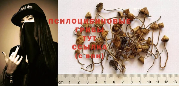 хмурый Волгодонск