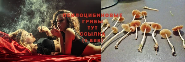 трава Киреевск