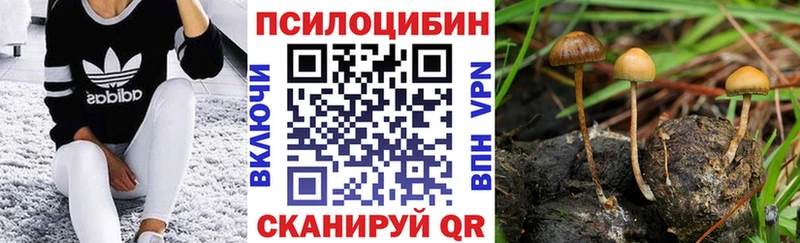 Псилоцибиновые грибы прущие грибы  купить   Нариманов 